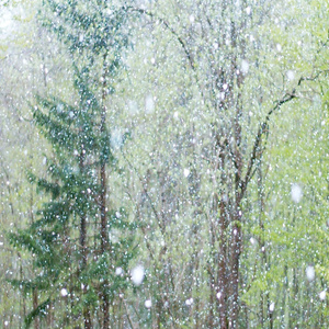 扒开腿挺进肉嫩小泬电影动漫
